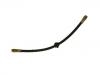 Brake Hose:77 00 811 706