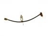 Brake Hose:4 060 853